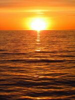 IMG_3590 (Copier).JPG